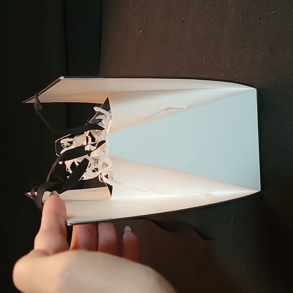 Chanel - Picture 5 of 5